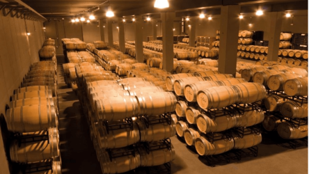 Visita bodega La Rioja
