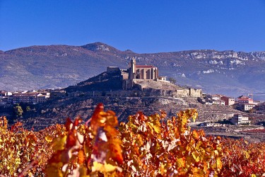 San vicente de la sonsierra carlos moro