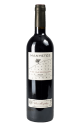 Manyetes