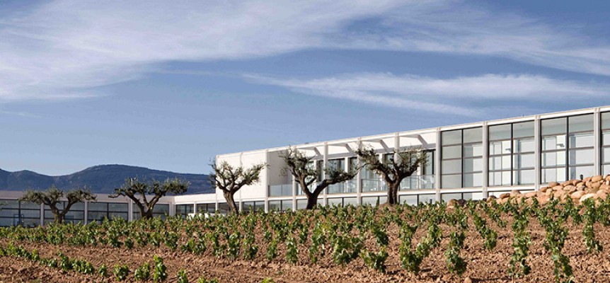 Enoturismo en La Rioja