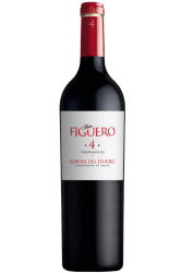 Figuero 4 Roble