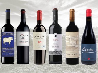 Crianzas imprescindibles Ribera del Duero