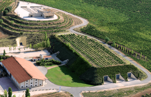 Bodegas Valduero