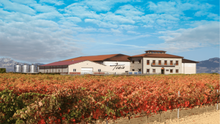 Visita bodega La Rioja