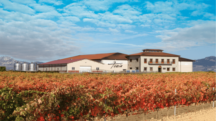 Visita bodega La Rioja
