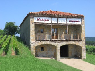 Bodegas Vidular